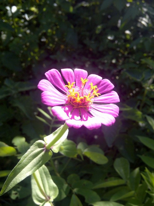 Article : En route vers Tougu&eacute; !