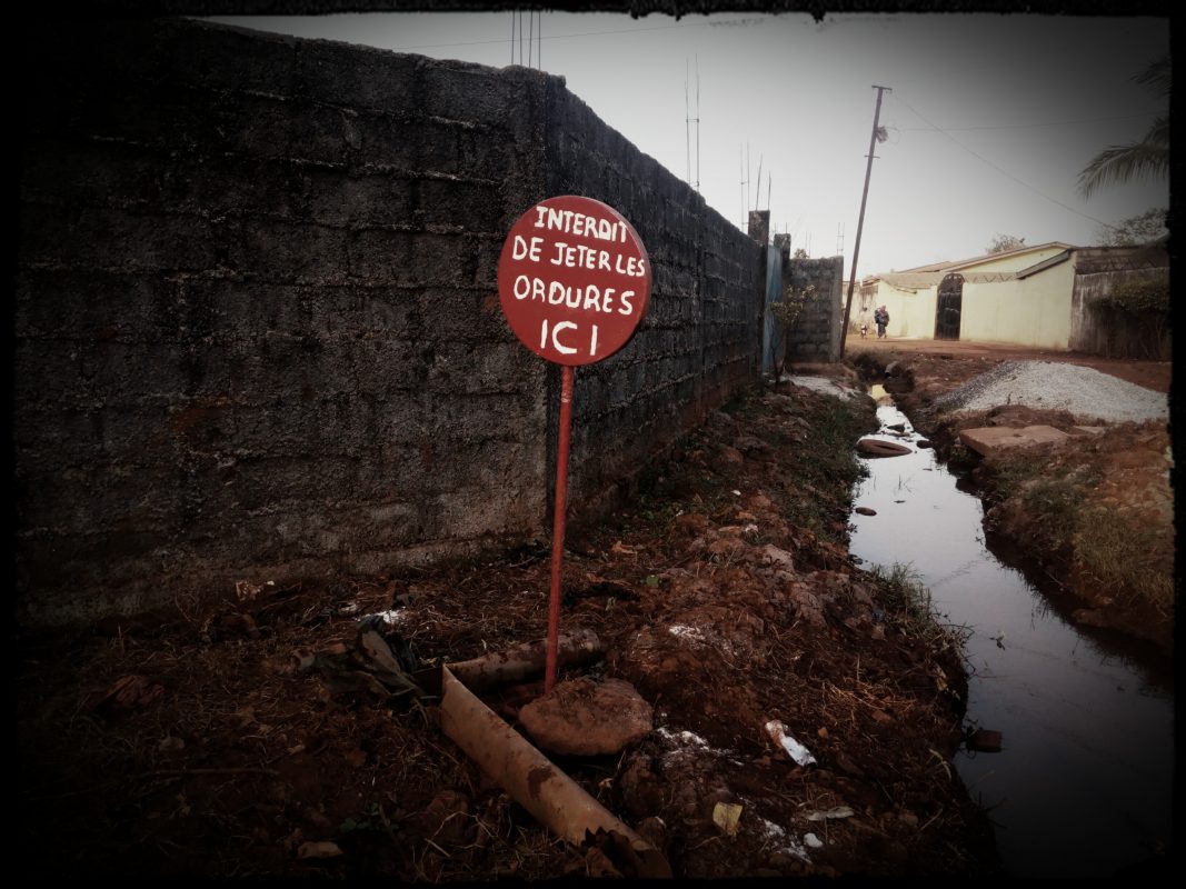 Article : &Ecirc;tre un &eacute;cologiste en Guin&eacute;e, un parcours de combattant