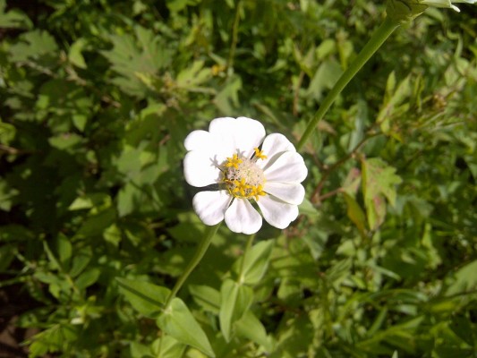 Article : Billet n&deg;100 : Adieu Mondoblog, promis je ne pleure (presque) pas !