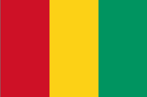 Article : Chers Guinéens, aimons-nous pour sortir du sous-développement