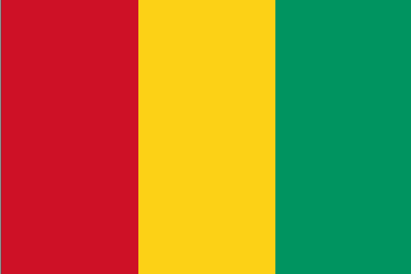 Drapeau Guinéen