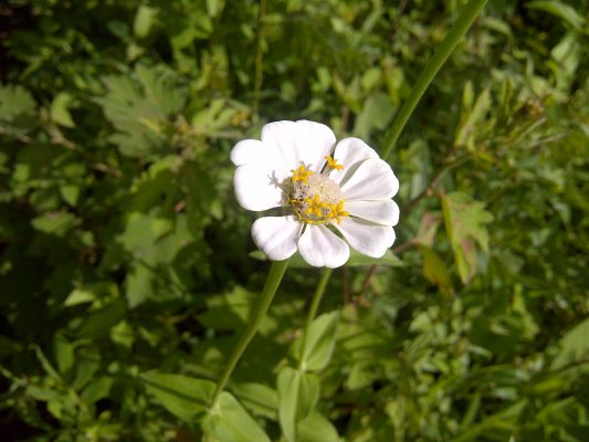 Article : Premi&egrave;re rencontre