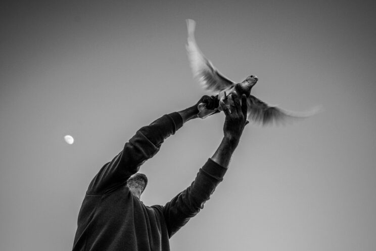 Article : L’honnêteté, la sincérité et l’honneur : des valeurs en voie de disparition ?